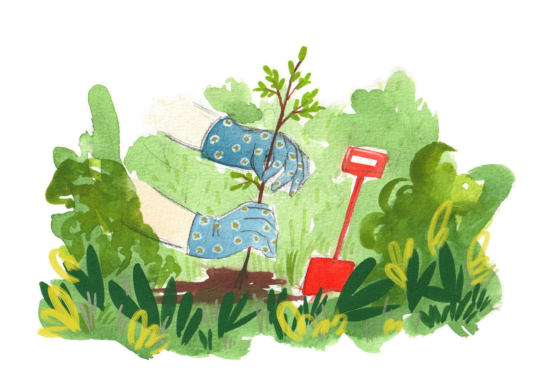 the image shows hands in blue and yellow work gloves planting a seedling. A red shovel stands to the side.