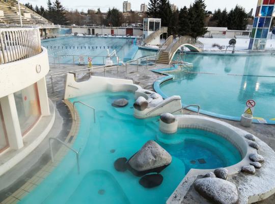 Aerial view of an empty Laugardalslaug Pool in winter, with frost and snow blanketing the grounds and the water perfectly still