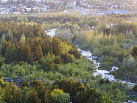 overview image of forest, houses and river