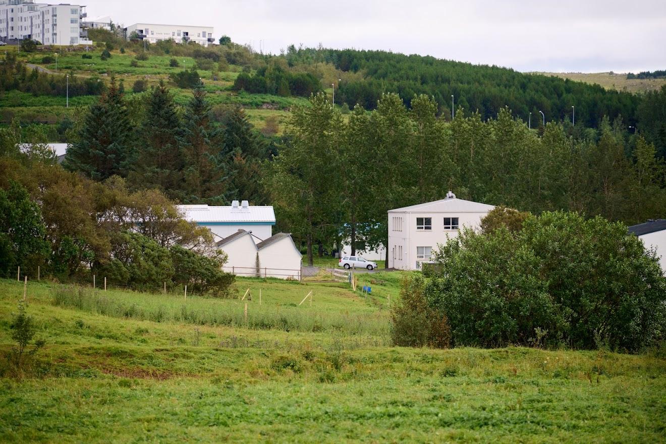 Houses and vegetation at Keldur.