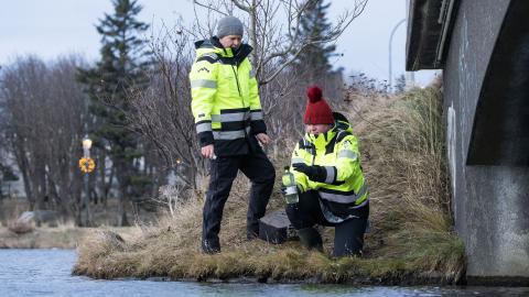 Sampling from Tjörnin
